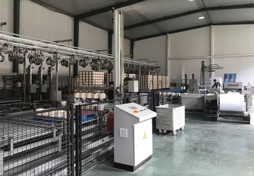 臨清三和紡織 以智能化步調(diào)實(shí)現(xiàn)省工增效，環(huán)球筒紗智能包裝系統(tǒng)引領(lǐng)無(wú)人化未來(lái)