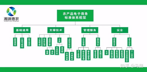 構(gòu)建智能引領(lǐng)的農(nóng)產(chǎn)品電商標(biāo)準(zhǔn)體系 標(biāo)準(zhǔn)化、系統(tǒng)化與工程化路徑