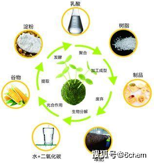 綠色轉型風起 2025年聚乳酸百萬噸產能謀劃全面替代傳統塑料